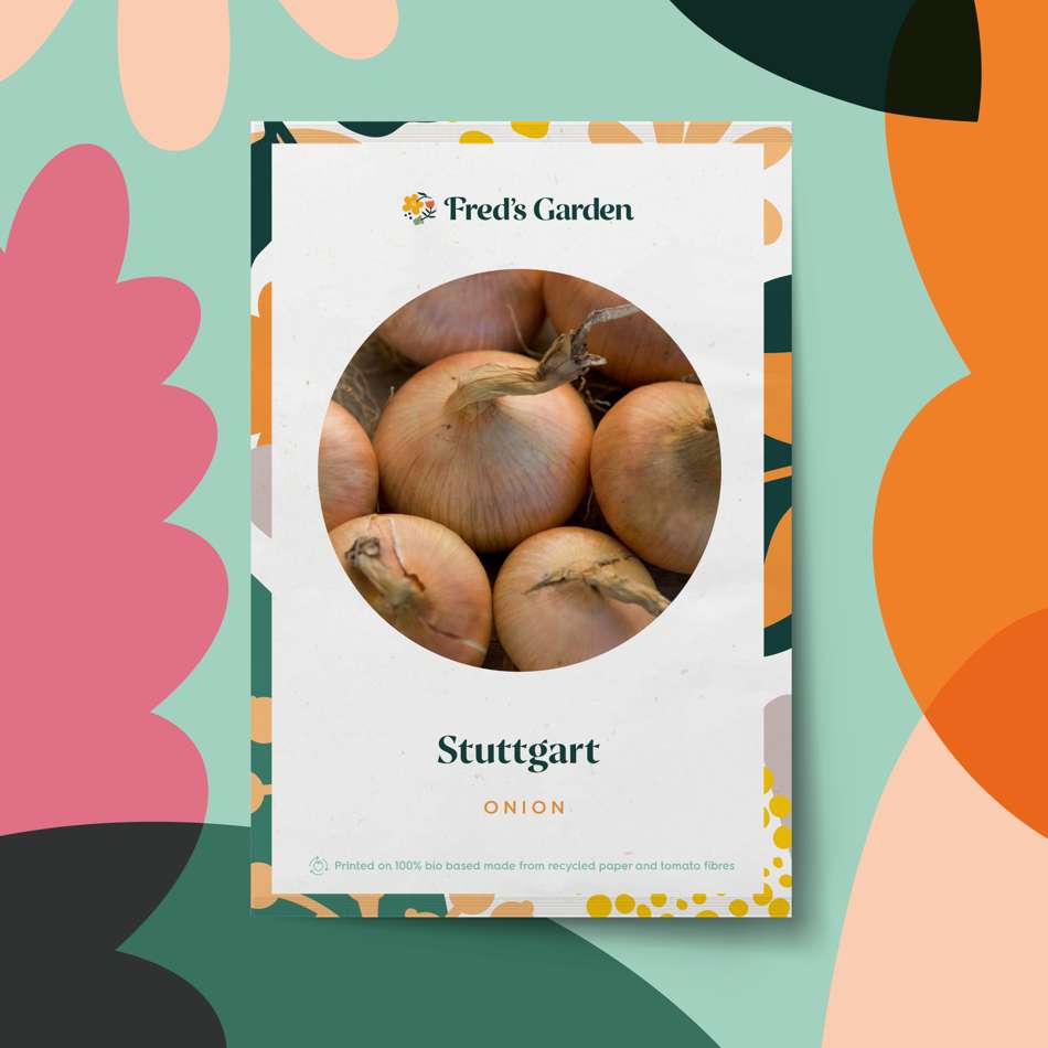 Lök 'Stuttgart' (frö)